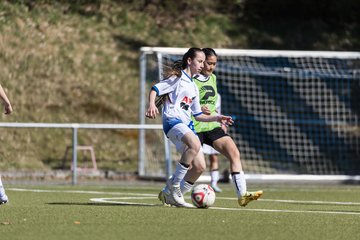 Bild 321 - wCJ Suederelbe - wBJ UH-Adler : Ergebnis: 7:1